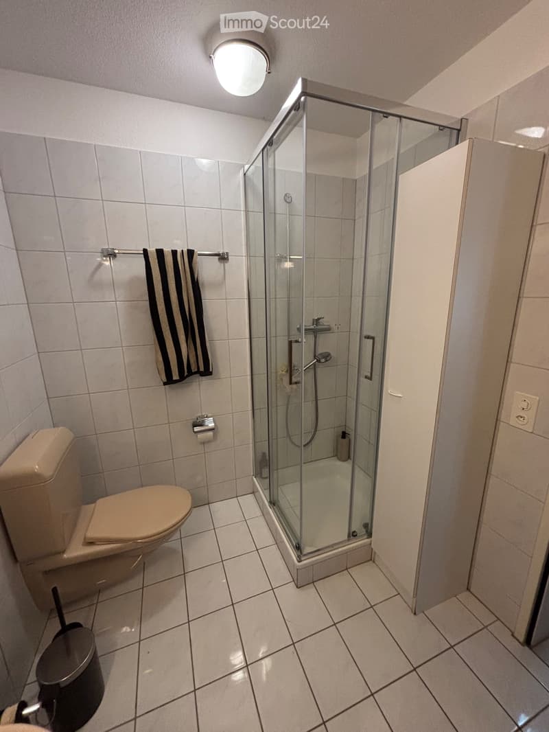 2 Zimmer in Minusio mit großer Terrasse und privatem Garten (5)