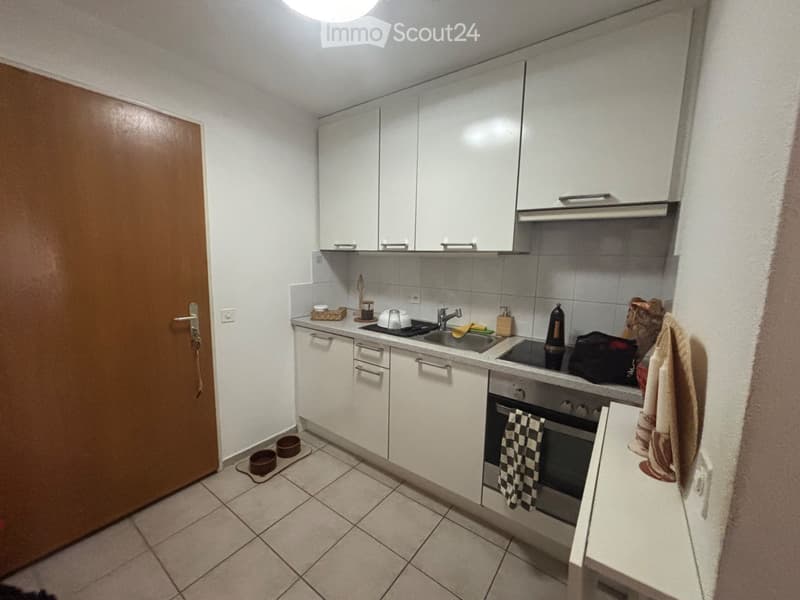 2 Zimmer in Minusio mit großer Terrasse und privatem Garten (3)