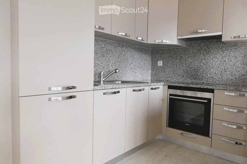 Appartement spacieux et calme à Insone (Valcolla) (2)
