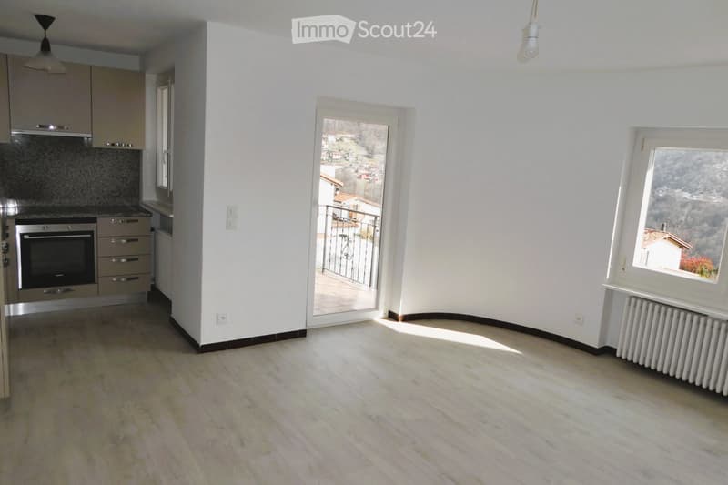 Appartement spacieux et calme à Insone (Valcolla) (3)