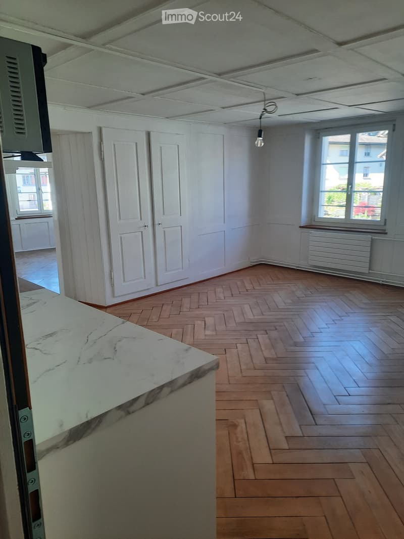 Appartamento 2 locali nel Züri Oberland (1)