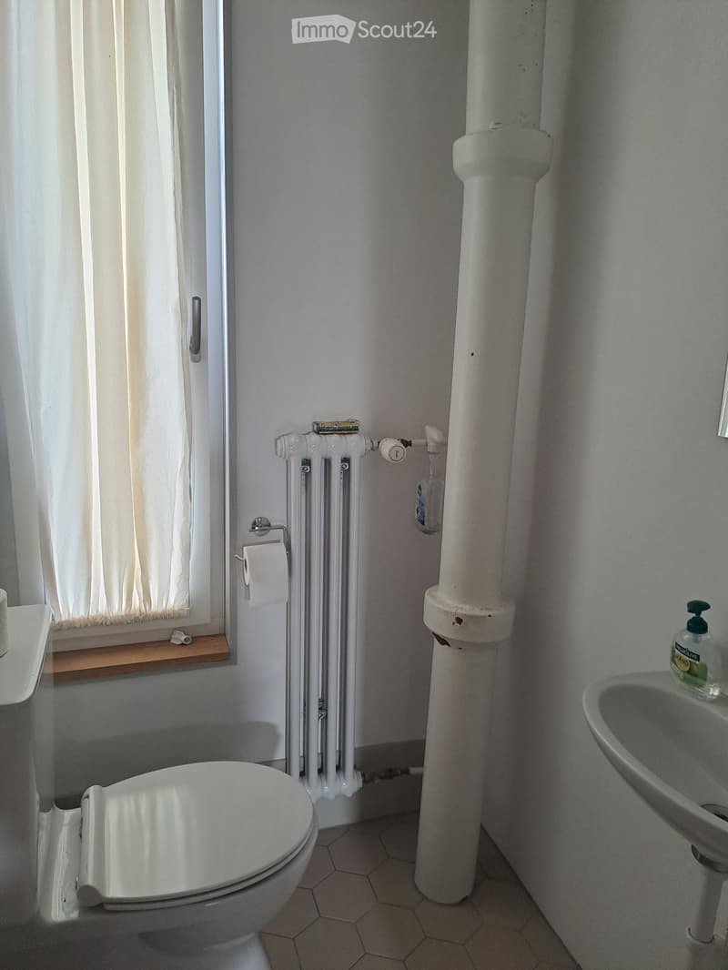 Temporarily for rent: furnished 3-room apartment (4)