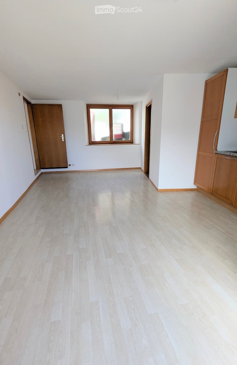 Sonnige Wohnung mit grossem Balkon für Single in Giubiasco (4)