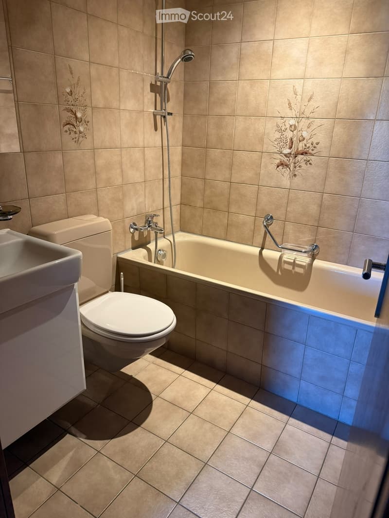 familienfreundliche 4.5 Zimmer Wohnung im gemütlichen Saland (4)