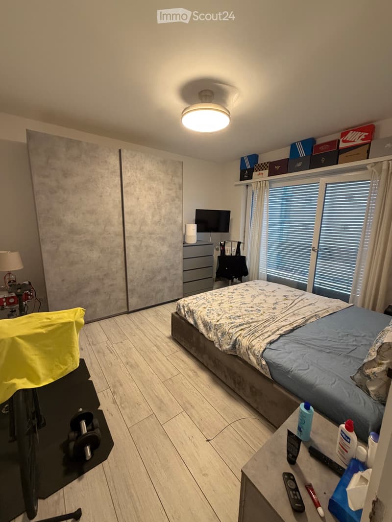 Cerco subentrante 1.5 locali Bellinzona (2)