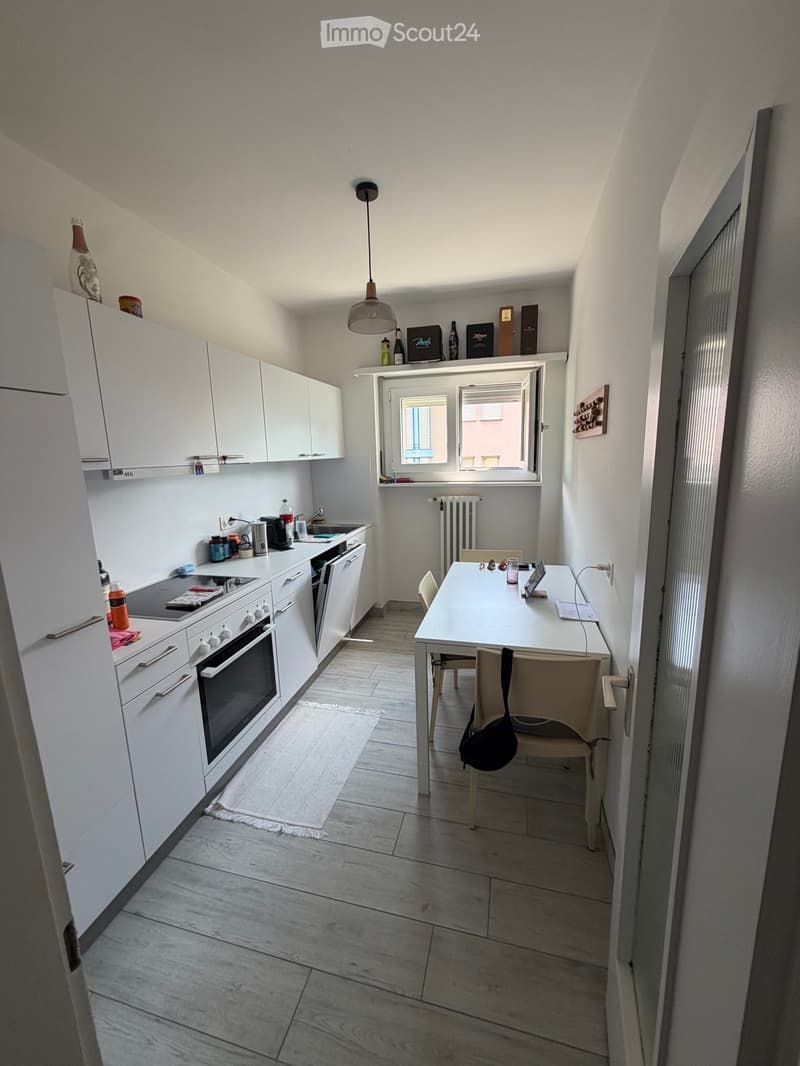 Cerco subentrante 1.5 locali Bellinzona (1)