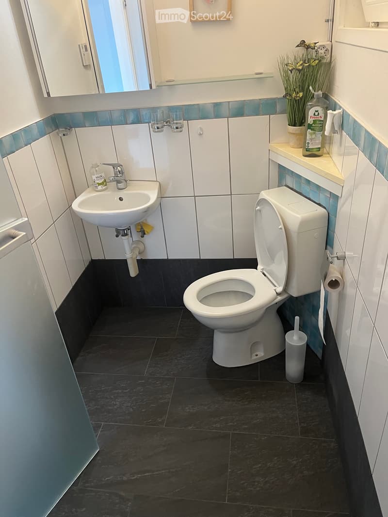 2-room apartment with dreamy lake view in Schönörtli (4)