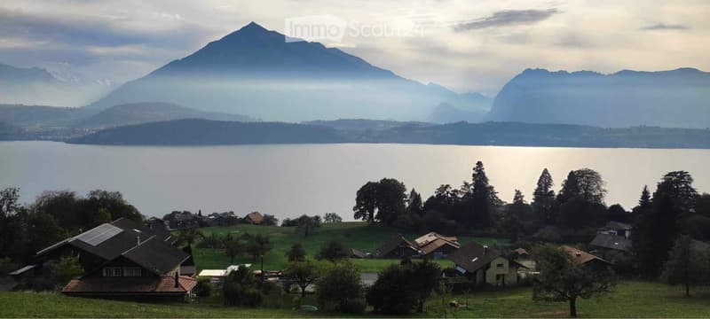 2-room apartment with dreamy lake view in Schönörtli (5)