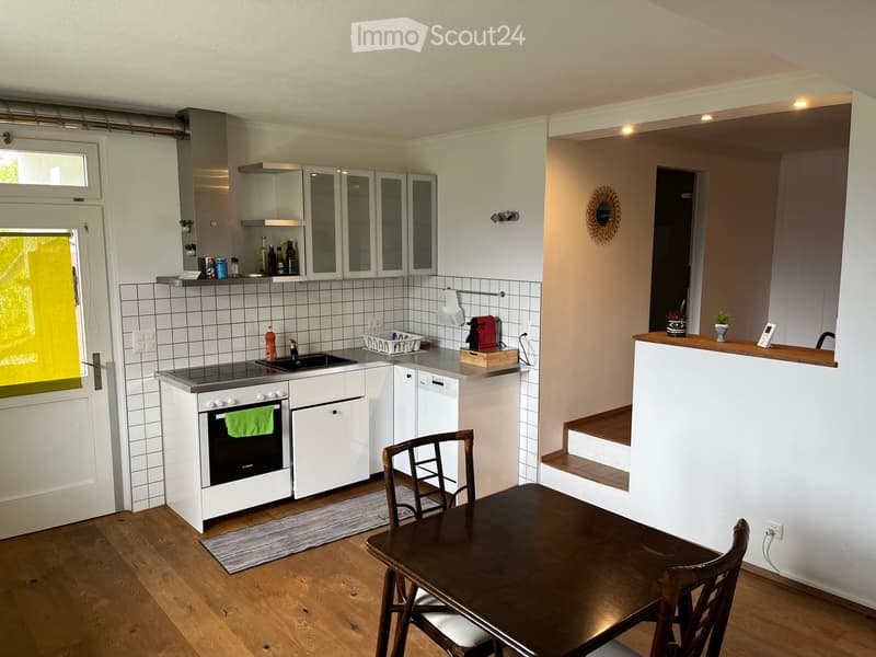 2-room apartment with dreamy lake view in Schönörtli (3)
