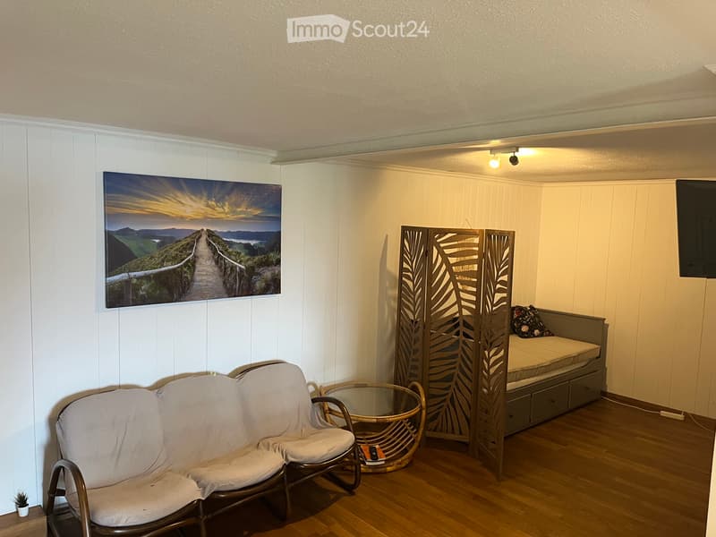 2-room apartment with dreamy lake view in Schönörtli (2)