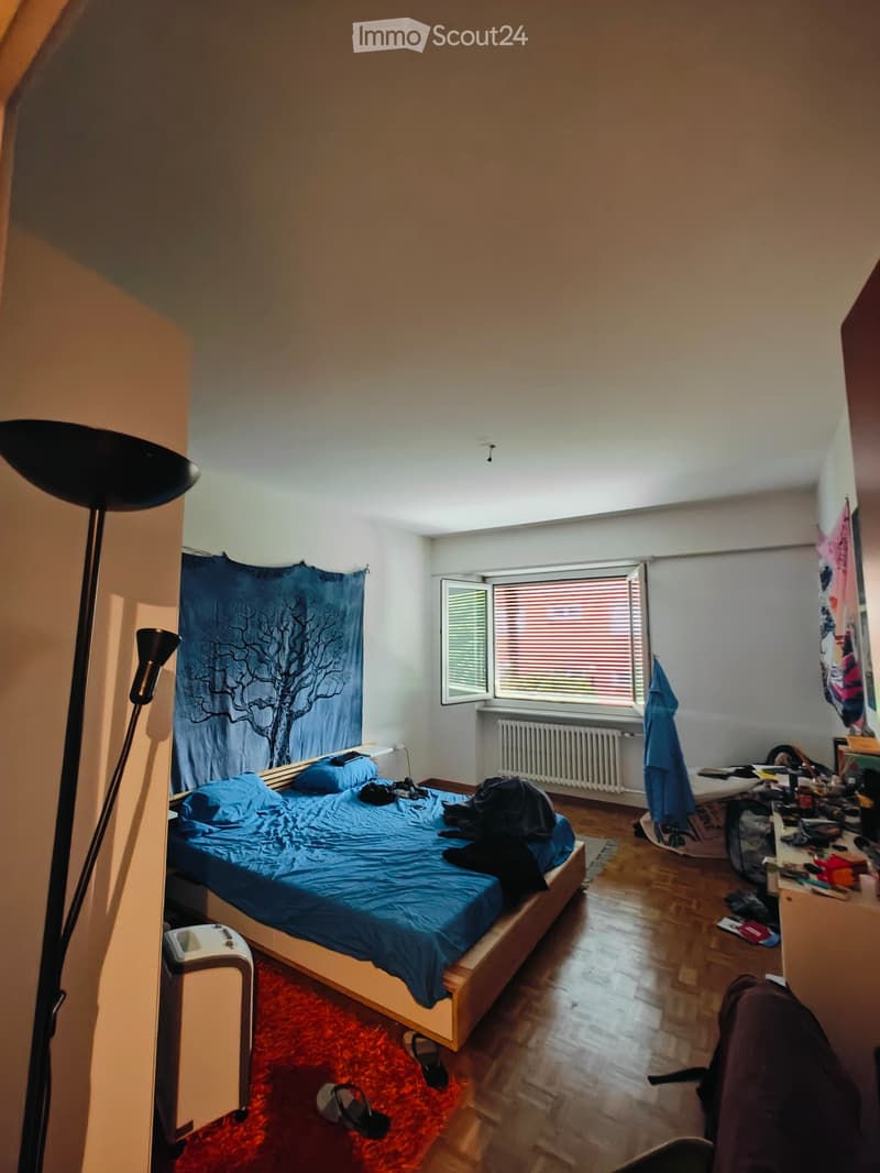 Gesucht: Einziehender für 4.5-Zimmer-Wohnung (1)