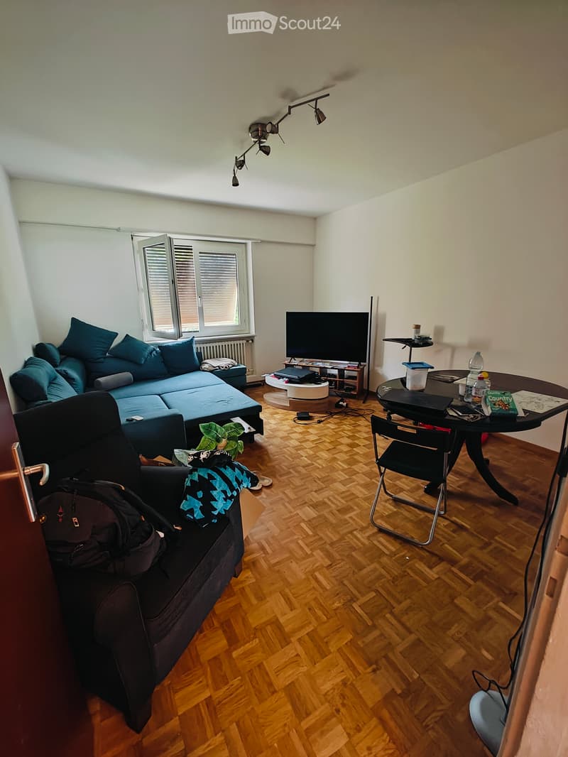 Gesucht: Einziehender für 4.5-Zimmer-Wohnung (5)