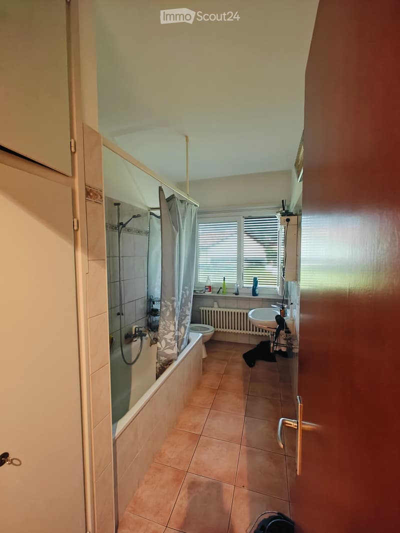 Gesucht: Einziehender für 4.5-Zimmer-Wohnung (2)