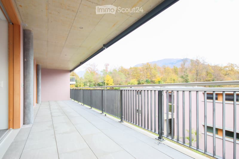 3.5 room apartment with mountain and lake view in a charming location (3)