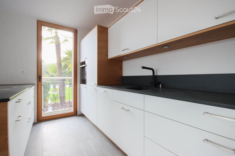 3.5 room apartment with mountain and lake view in a charming location (2)