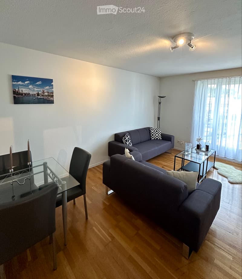 Appartement de 2,5 pièces entièrement meublé à Zurich (1)