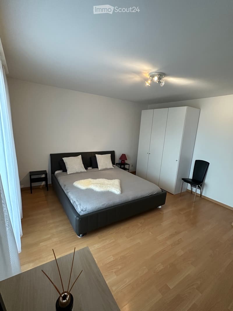 Appartement de 2,5 pièces entièrement meublé à Zurich (3)