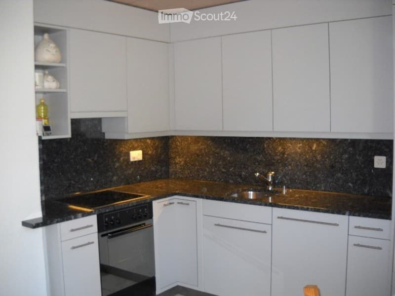 Grand appartement 3.5 pièces (3)