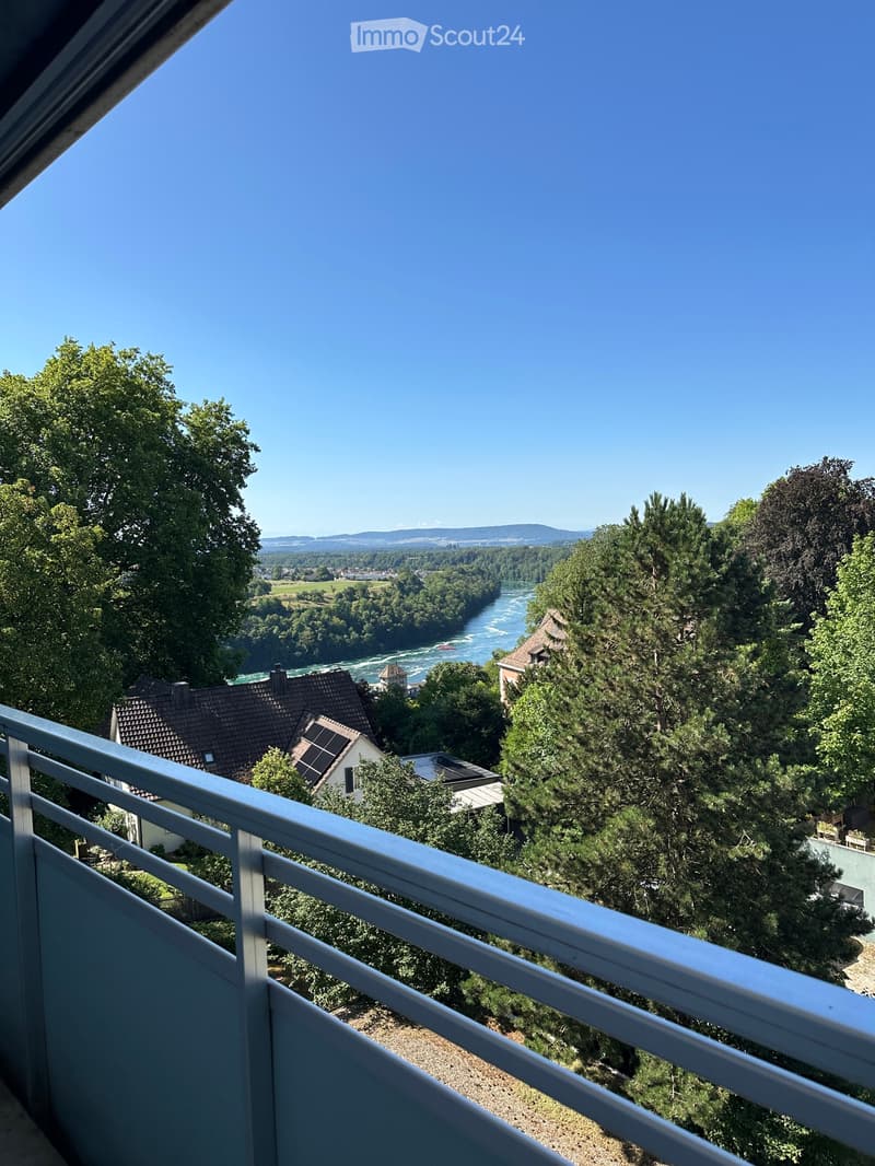 Appartement à louer à Neuhausen (1)