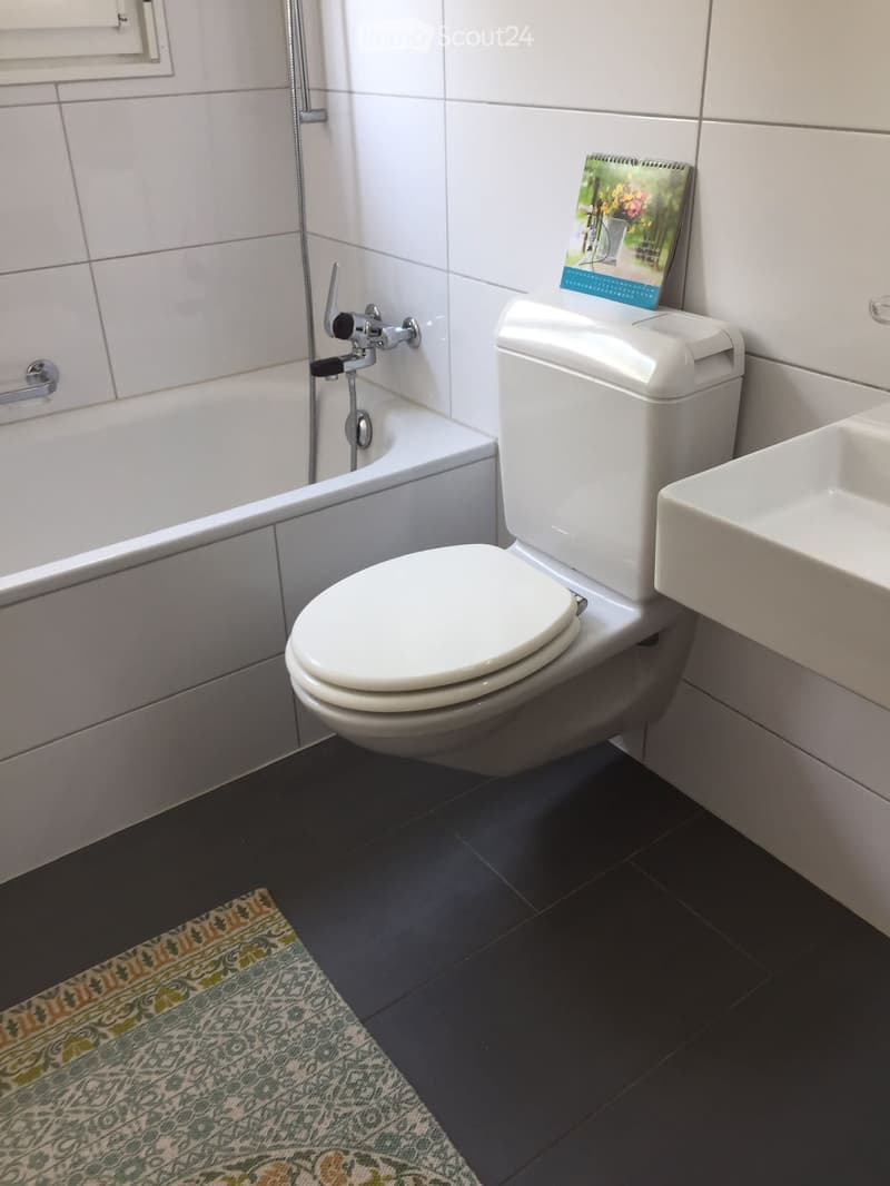 Appartement lumineux, calme à louer (5)