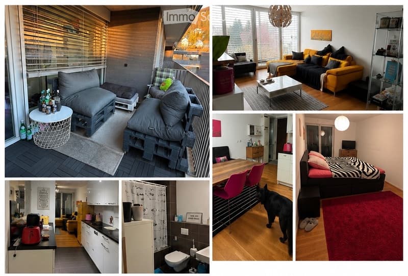 Nachmieter gesucht Moderne 3.5-Zimmer-Wohnung in Beringen (1)