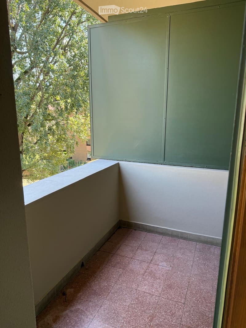 2.5 locali a Massagno disponibile da subito (3)
