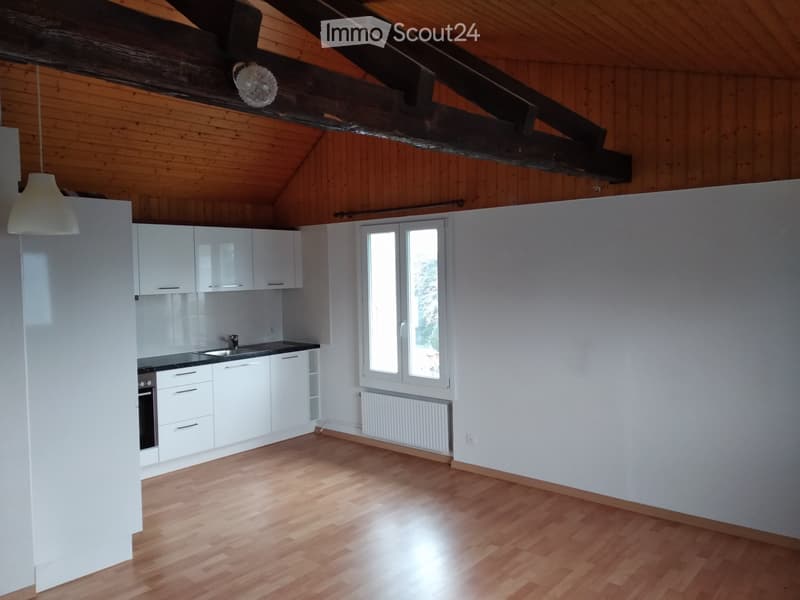 Gemütliche 3-Zimmer-Dachwohnung mit Charme (1)
