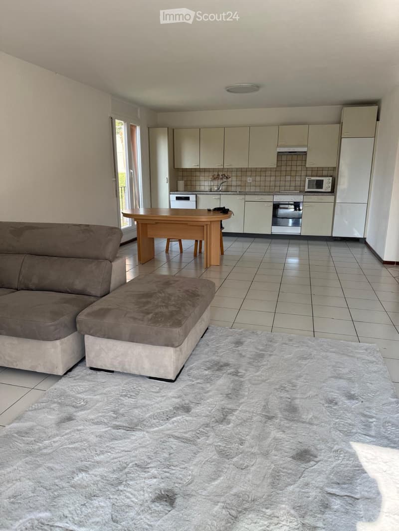 Affittasi ampio 3.5 con giardino privato (5)
