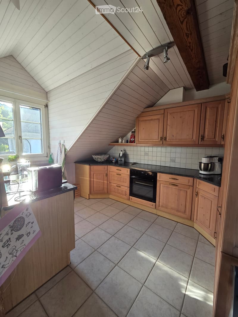 Central bright attic apartment (3)