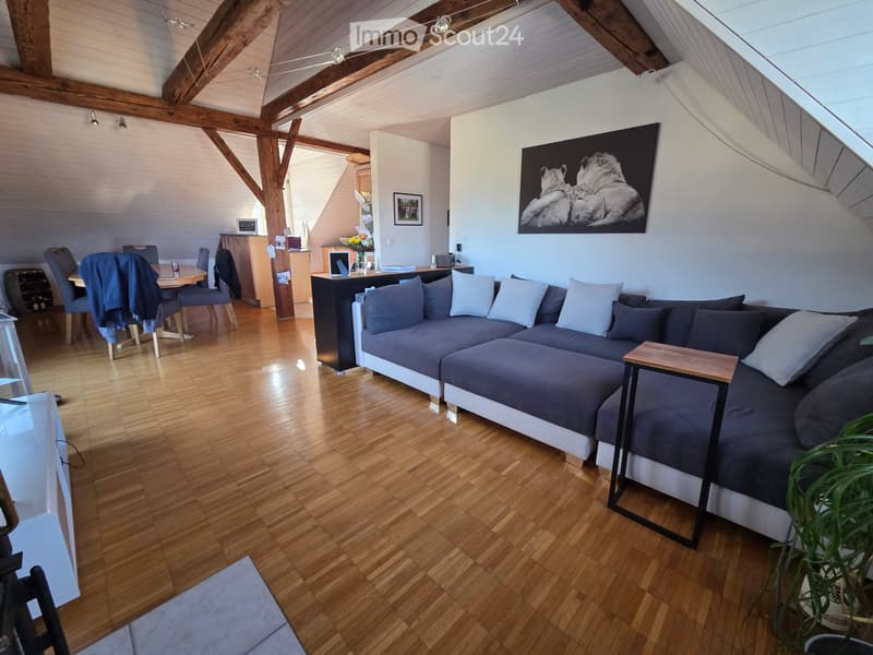Central bright attic apartment (1)