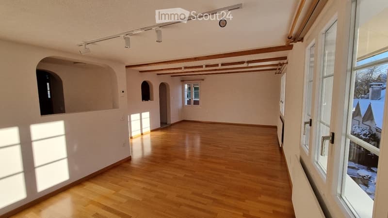 Appartamento spazioso 2.5 locali (3)