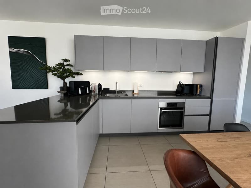 Recherche d'un sous-locataire pour un splendide appartement 4.5 pièces à Mendrisio (6)