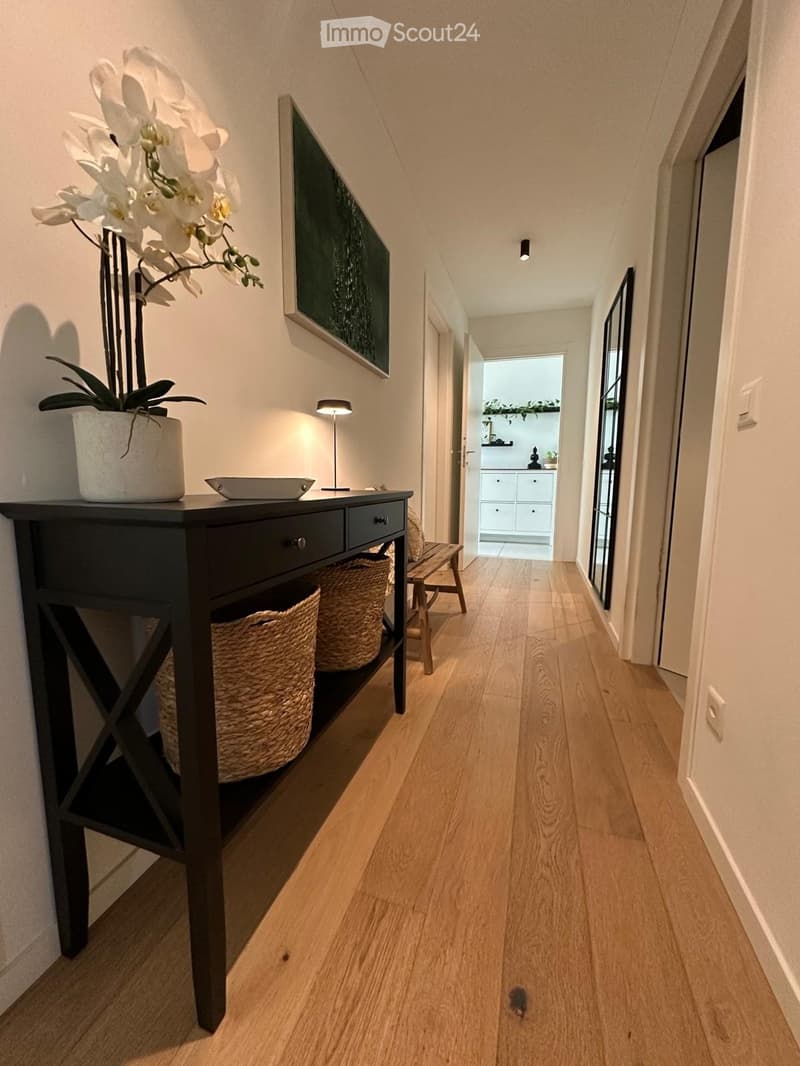 Recherche d'un sous-locataire pour un splendide appartement 4.5 pièces à Mendrisio (2)