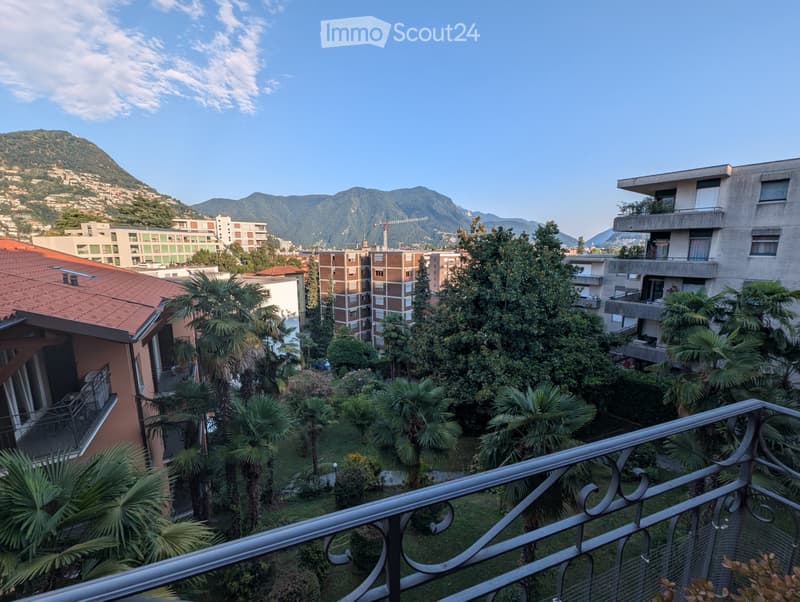 Luminoso 3.5 locali Lugano - Molino Nuovo (Subentro da nov) (2)