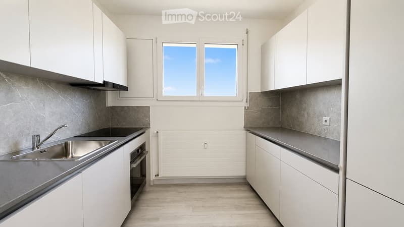 4.5 rooms renovated for rent in Coldrerio (1)