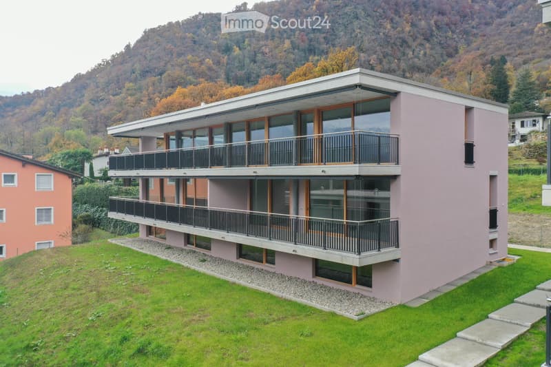 Appartement, 3,5 Zimmer mit Blick auf die Berge und den See (11)