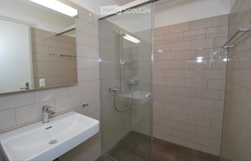 Moderne 3.5-Zimmer-Wohnung nahe Hallwilersee (5)