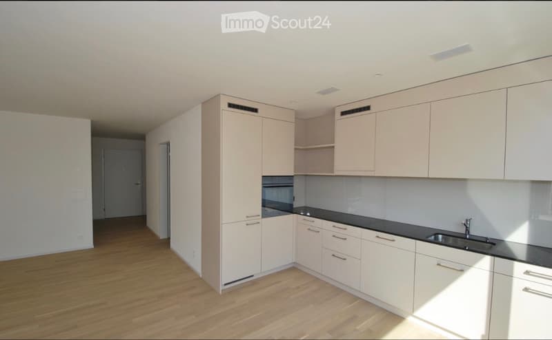 Moderne 3.5-Zimmer-Wohnung nahe Hallwilersee (1)