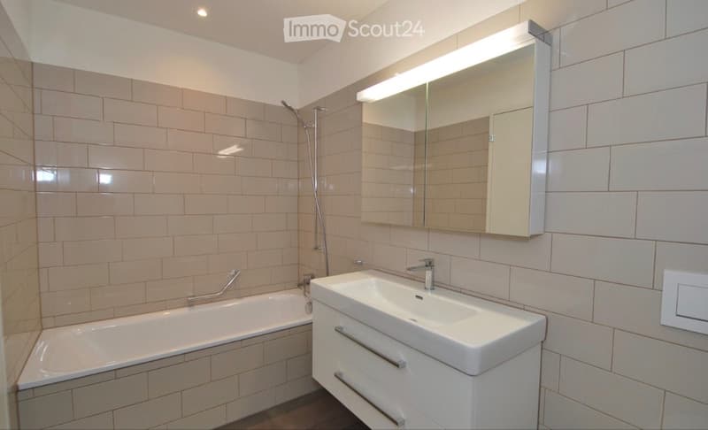 Moderne 3.5-Zimmer-Wohnung nahe Hallwilersee (4)