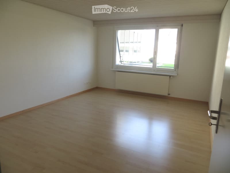 Appartamento con giardino e grande area di seduta & casa giardino vetrata a sud (3)