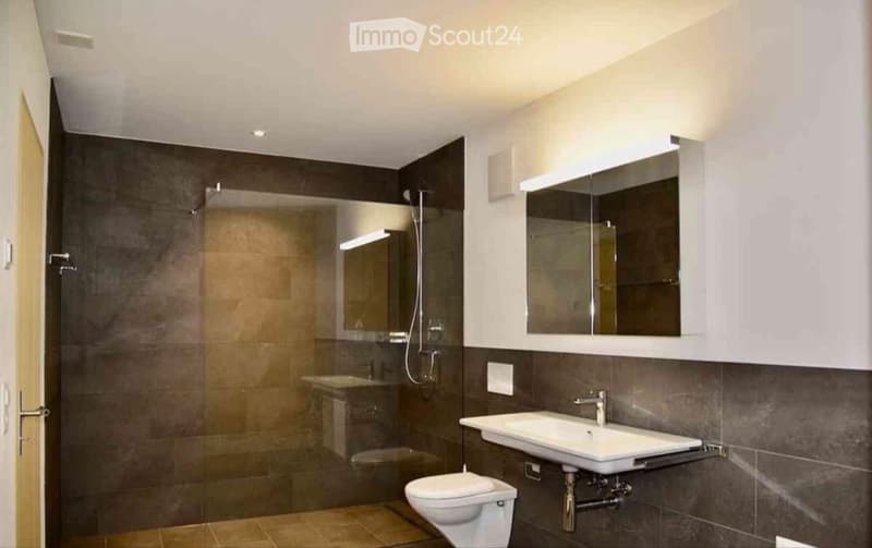 2.5 room apartment for rent (3)