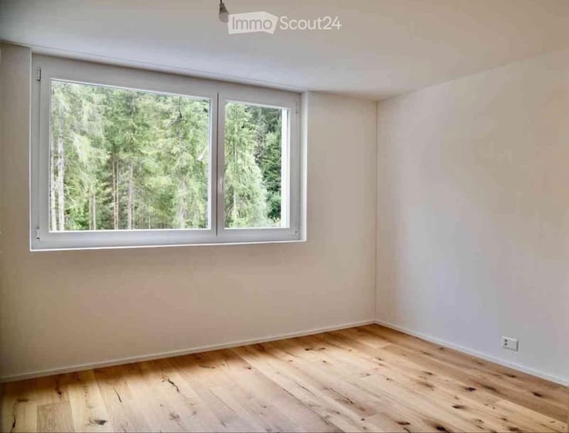 2.5 room apartment for rent (4)