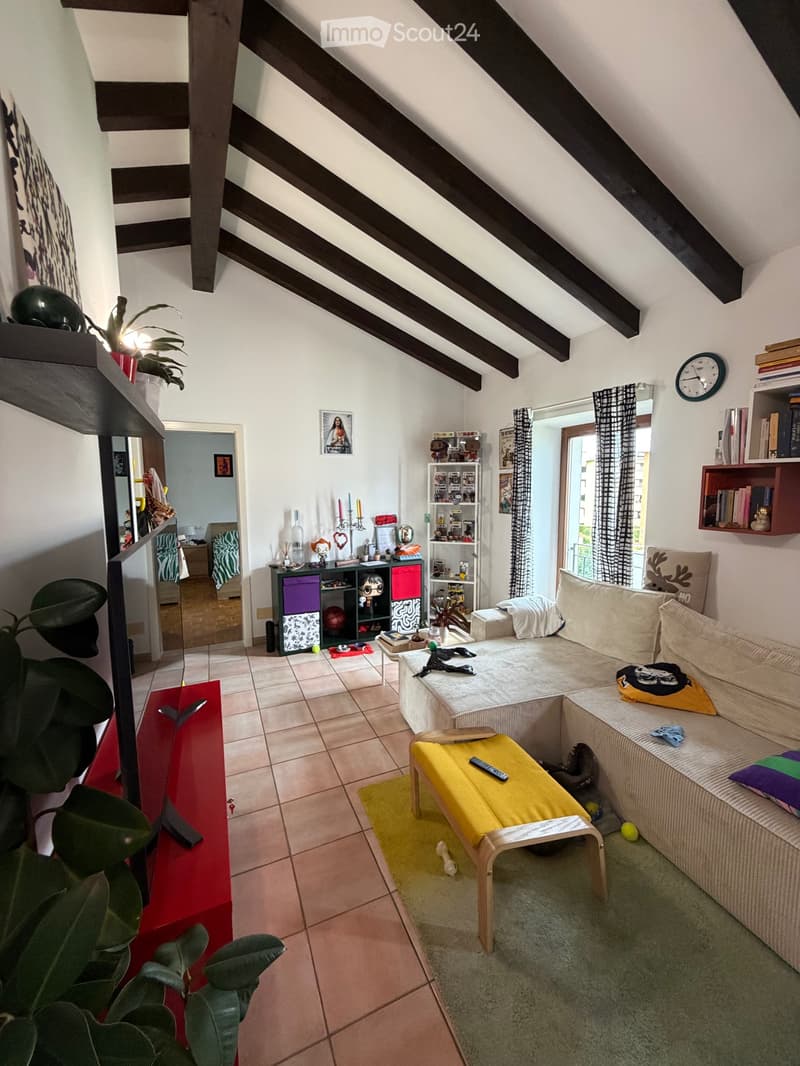 Appartement Tenero 2,5 (1)