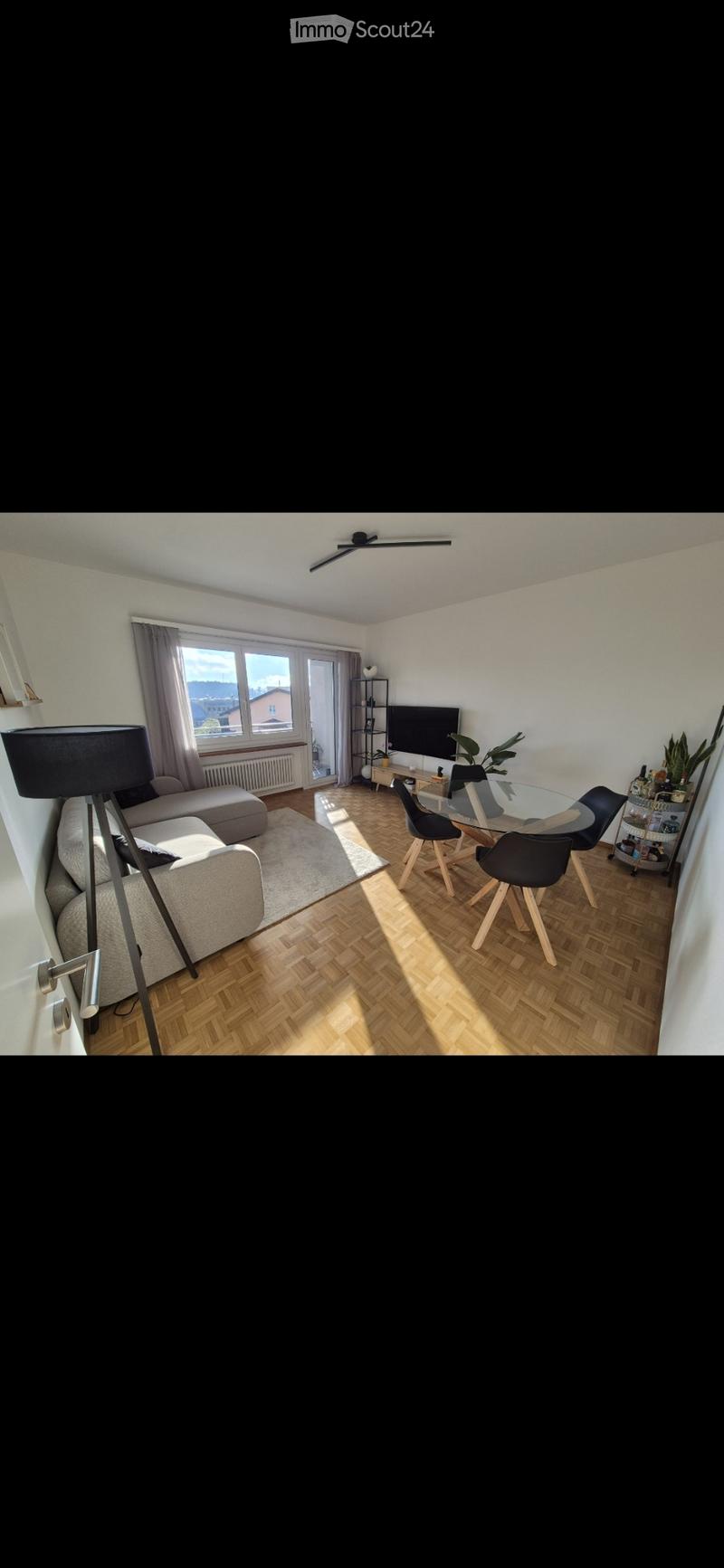 Sous-location appartement 3.5 pièces - Tesserete (4)