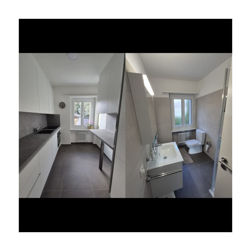 Sous-location appartement 3.5 pièces - Tesserete (2)