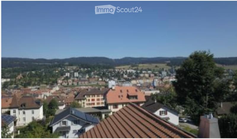 Grande casa in vendita a La Chaux-de-Fonds (5)