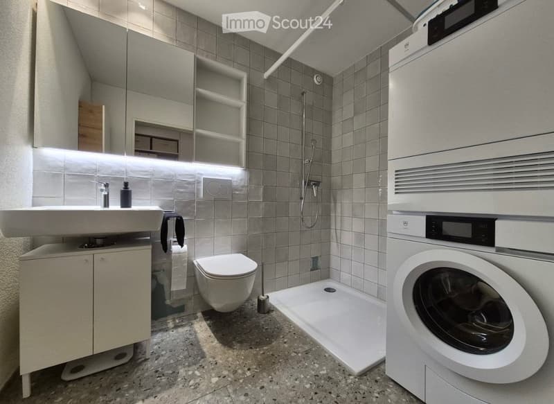 Befristet, möbliert: 4.5-Zimmer-Maisonette in Uster (10)