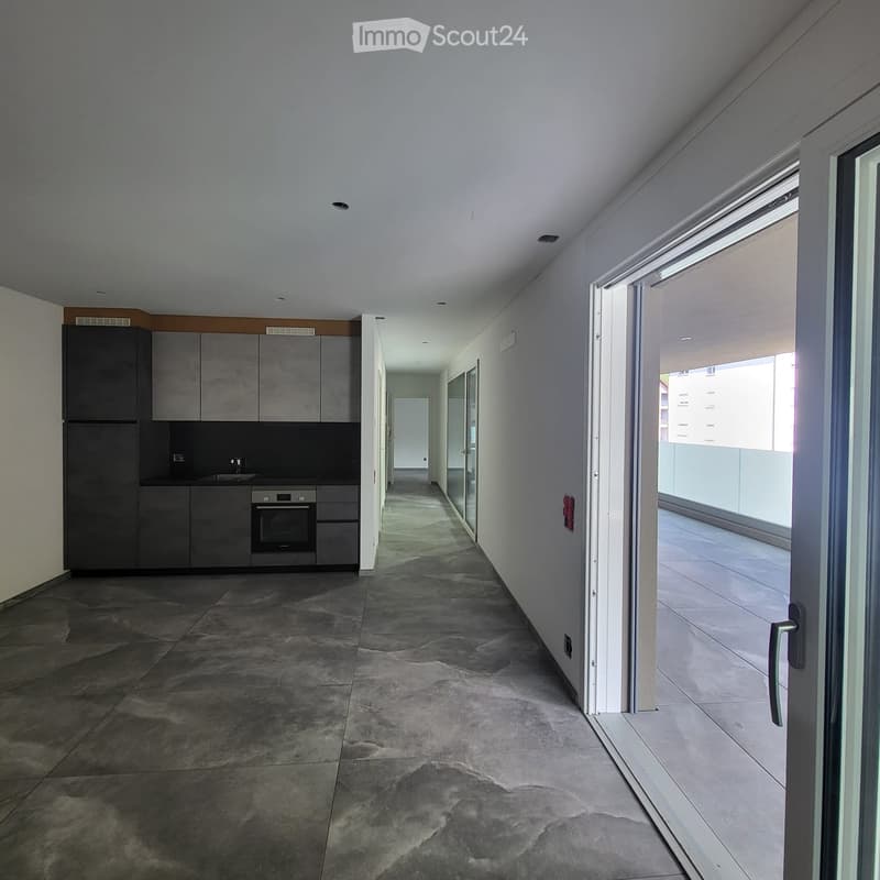 Esclusivo appartamento 2.5 locali Bellinzona (4)