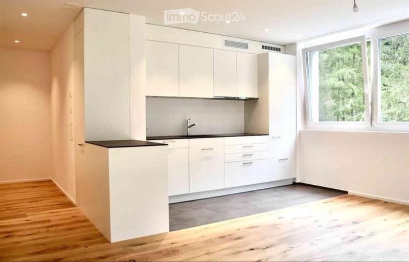 Appartement 2.5 pièces à louer (2)