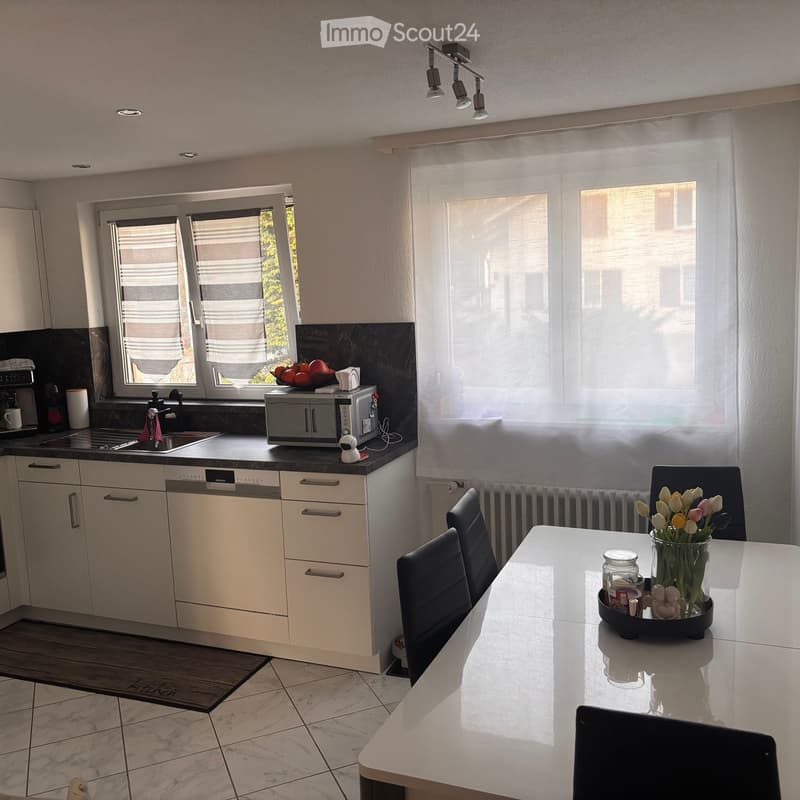 Wohnung 4.5 (2)